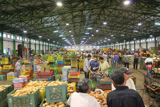 سعر كيلوغرام الطماطم يتراجع بدرهم واحد خلال أسبوع في أسواق البيضاء + إنفوغراف