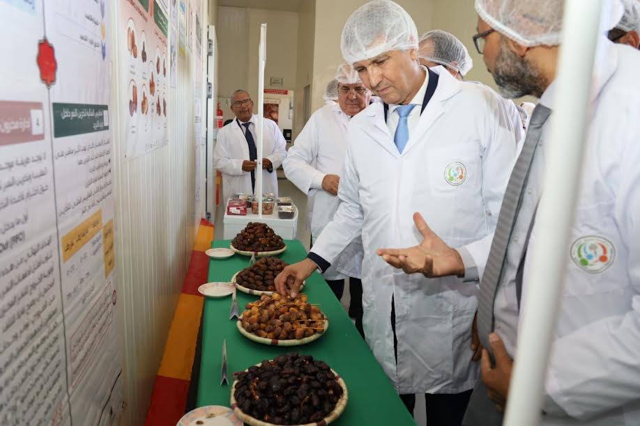 بالأرقام: صديقي يشرف على تنزيل مخطط "الجيل الأخضر" بزاكورة