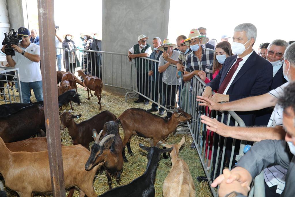 صديقي يطلق مشاريع فلاحية في الحسيمة