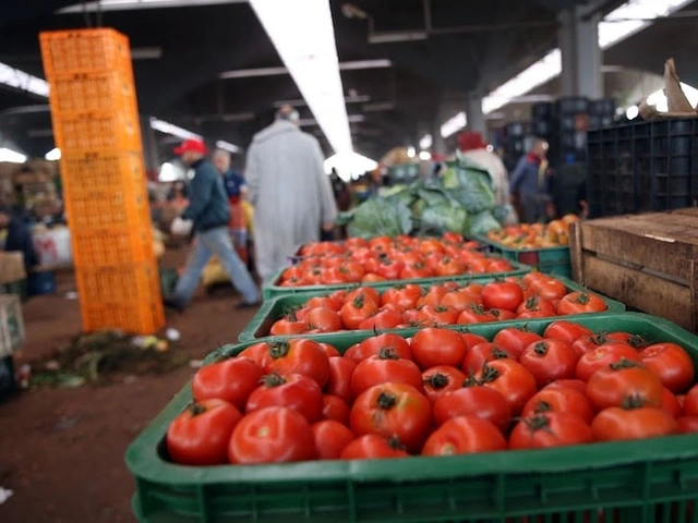 بالأرقام: لا انخفاض في أسعار الخضر والفواكه بأسواق البيضاء + إنفوغراف