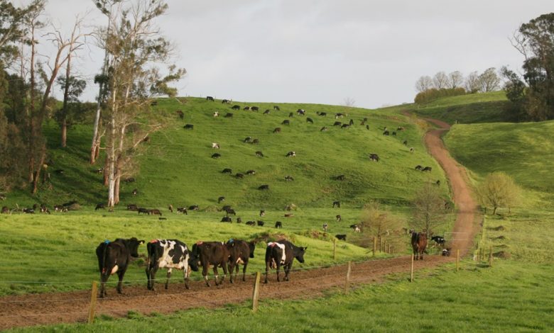هذا البلد سيضرب الفلاحين بسبب الانبعاثات الزراعية