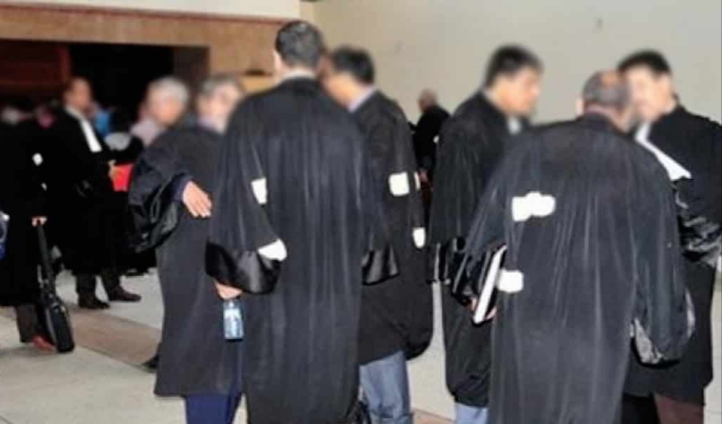 بعد التوصية بإجراء امتحان جديد للمحاماة.. "محامو الجنوب" يحذرون من استغلال الوسيط في تدبير برنامج حكومي