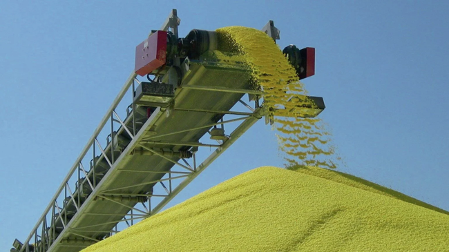 زيادة الطلب على الأسمدة يرفع واردات المغرب من الكبريت إلى أرقام قياسية