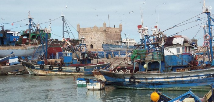 الصيد التقليدي بميناء الصويرة.. ارتفاع الكميات المفرغة بنسبة 34٪ خلال 2022