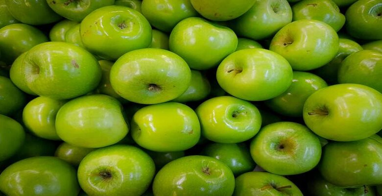 إنتاج 885 ألف طن من التفاح سنويا يعزز التنمية بالمناطق الجبلية