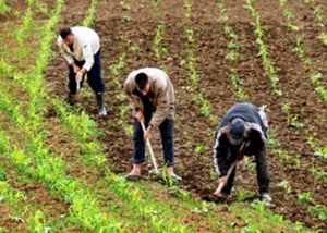 بنك المغرب يخفض توقعاته بشأن النمو في 2023