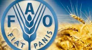 المغرب يستضيف مؤتمر الفاو الإقليمي لإفريقيا في العام 2024