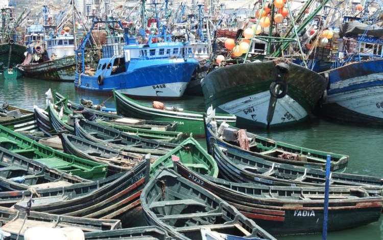 خلال يناير وفبراير.. ارتفاع الكميات المفرغة بميناء بوجدور بـ75 ٪