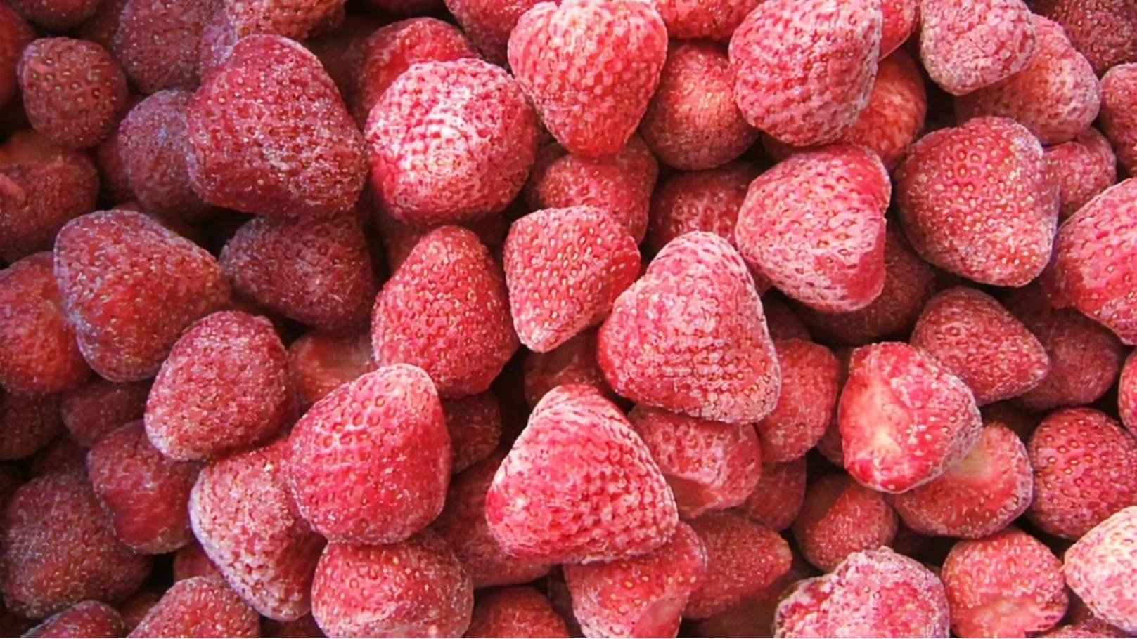 ارتفاع صادرات الفراولة المجمدة المغربية إلى الولايات المتحدة