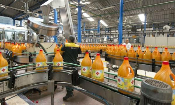 تراجع رقم معاملات "لوسيور كريسطال"  بـ13%