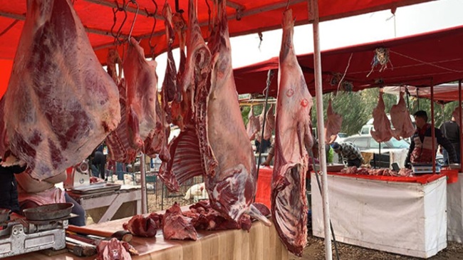 لماذا لا يؤثر الاستيراد المكثف للأغنام على انخفاض أسعار اللحوم الحمراء ؟