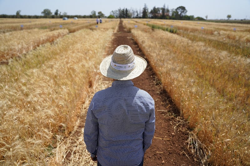 بنغلاديش تعزز أمنها الغذائي باستيراد الأسمدة من المغرب قبل موسم الزراعة