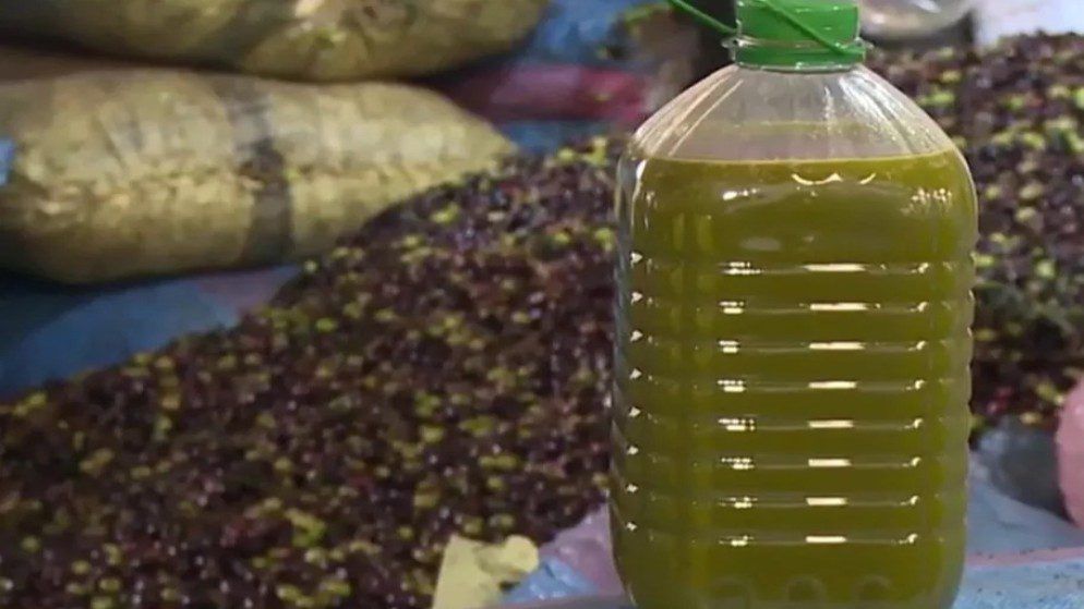 حماية المستهلك تنبه الباحثين عن أسعار منخفضة من الزيت المغشوش