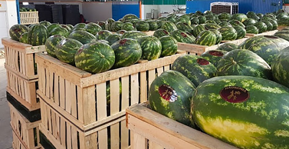 "الدلاح" الملوث.. "مرجان" توضح