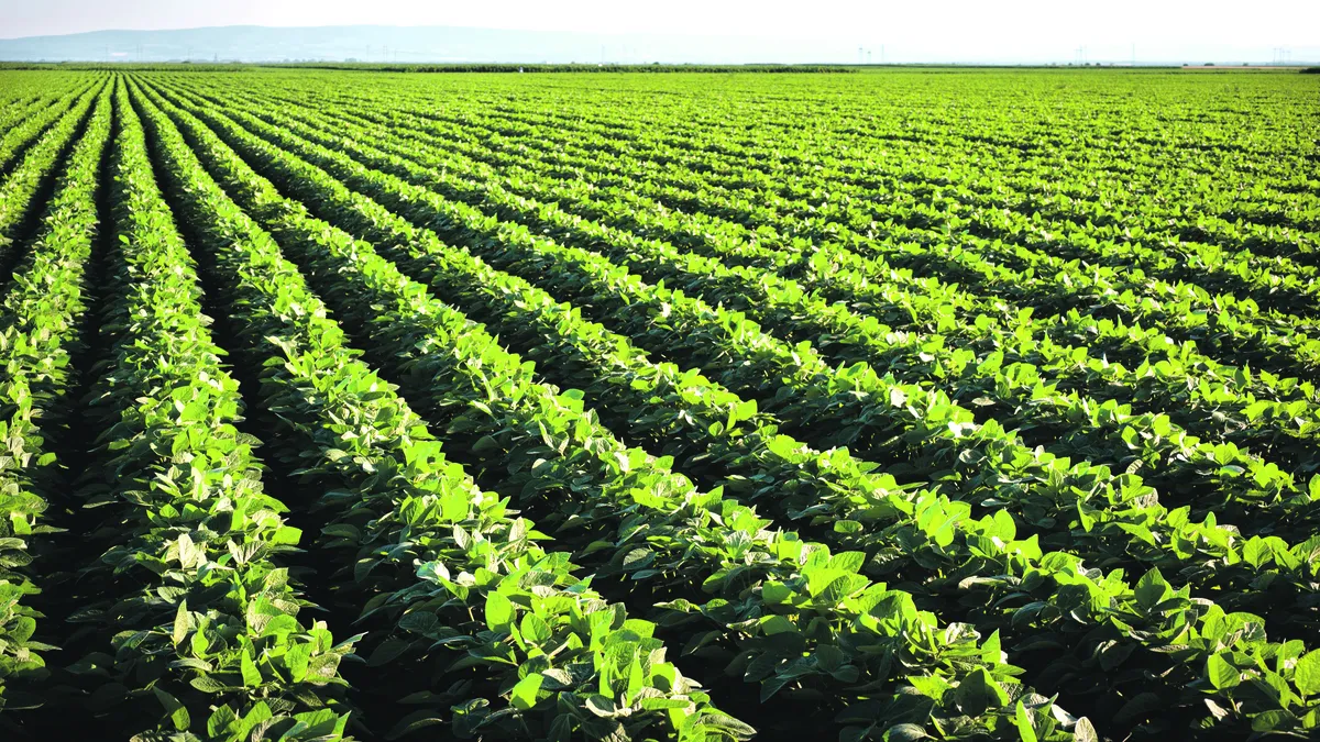 ريادة المغرب الفلاحية تتوج بجائزة مالابو لأفضل أداء على مستوى القارة