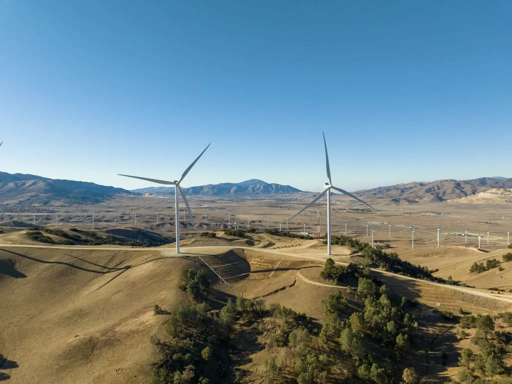 المغرب يباشر مفاوضات مع شركات إماراتية لإطلاق محطات رياح في الصحراء