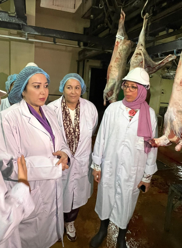 الرميلي تلتقي بـ"جزارات" البيضاء في يومهن العالمي