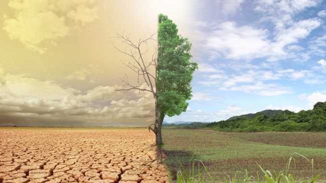 لماذا تعد التغيرات المناخية أكبر فرصة لتنمية المغرب ؟