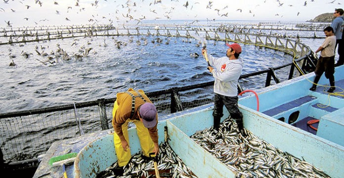 الاقتصاد الأزرق.. البنك الدولي في مهمة إشراف ثالثة بالمغرب