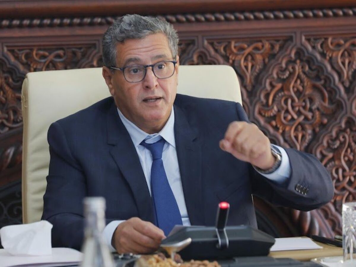 أخنوش: 4 ملايين أسرة عبرت من "راميد" إلى "أمو"