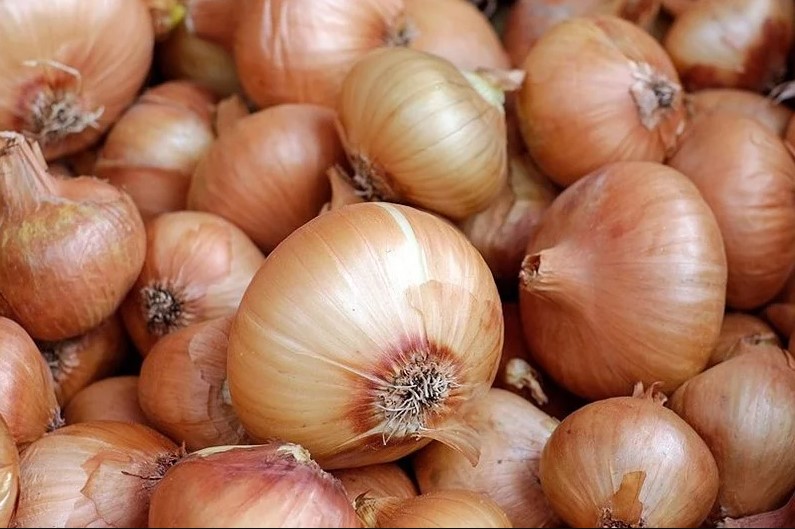 البصل المغربي مطلوب على وجه السرعة بالسينغال ووفد سيحل بالرباط لتنسيق عملية التزود