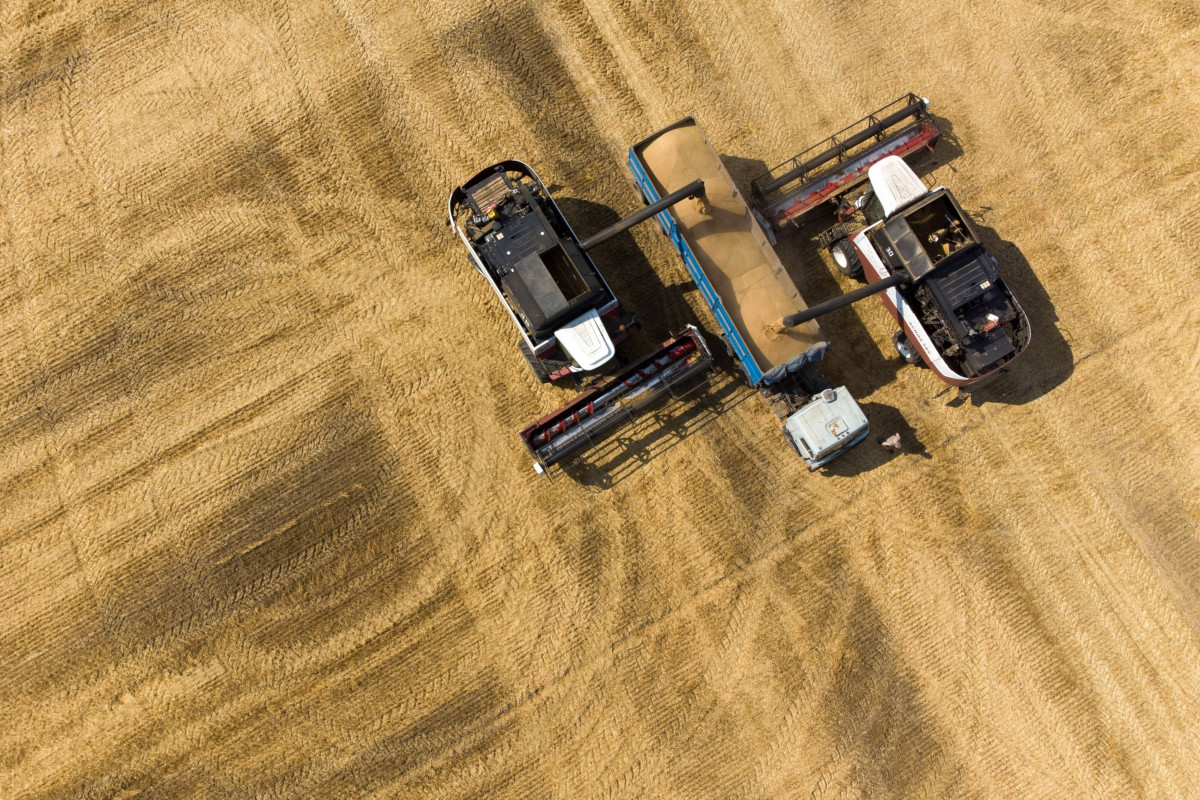 تفاصيل إحكام روسيا قبضتها على إمدادات القمح العالمية