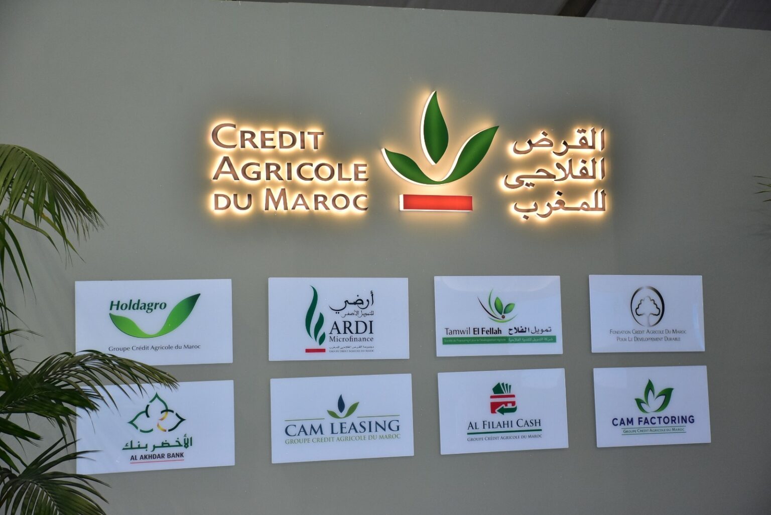 القرض الفلاحي يعزز التعاون مع “كومادير” و”إيفاد” لدعم العالم القروي