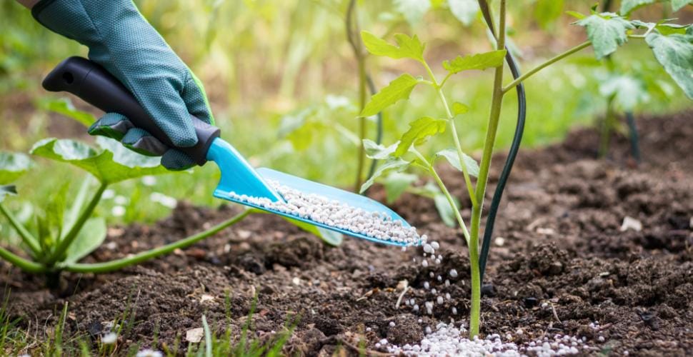 مبيعات الأسمدة المغربية في الخارج تهوي بأزيد من الثلث