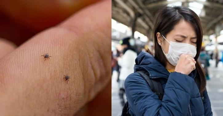 تنقله الحشرات.. منظمة الصحة تحذر من وباء عالمي جديد