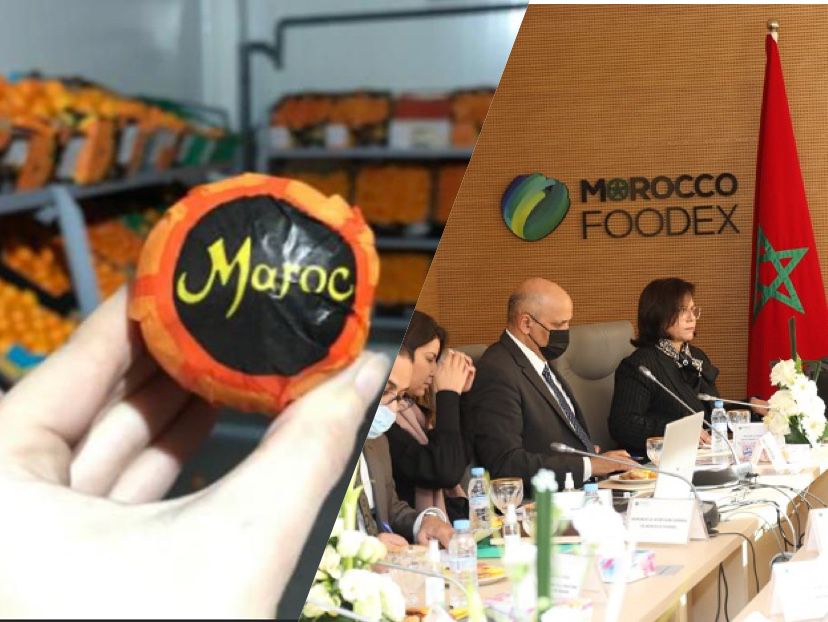 "موروكو فودكس" تسوق المنتوجات المغربية للمستوردين في السوق البريطانية