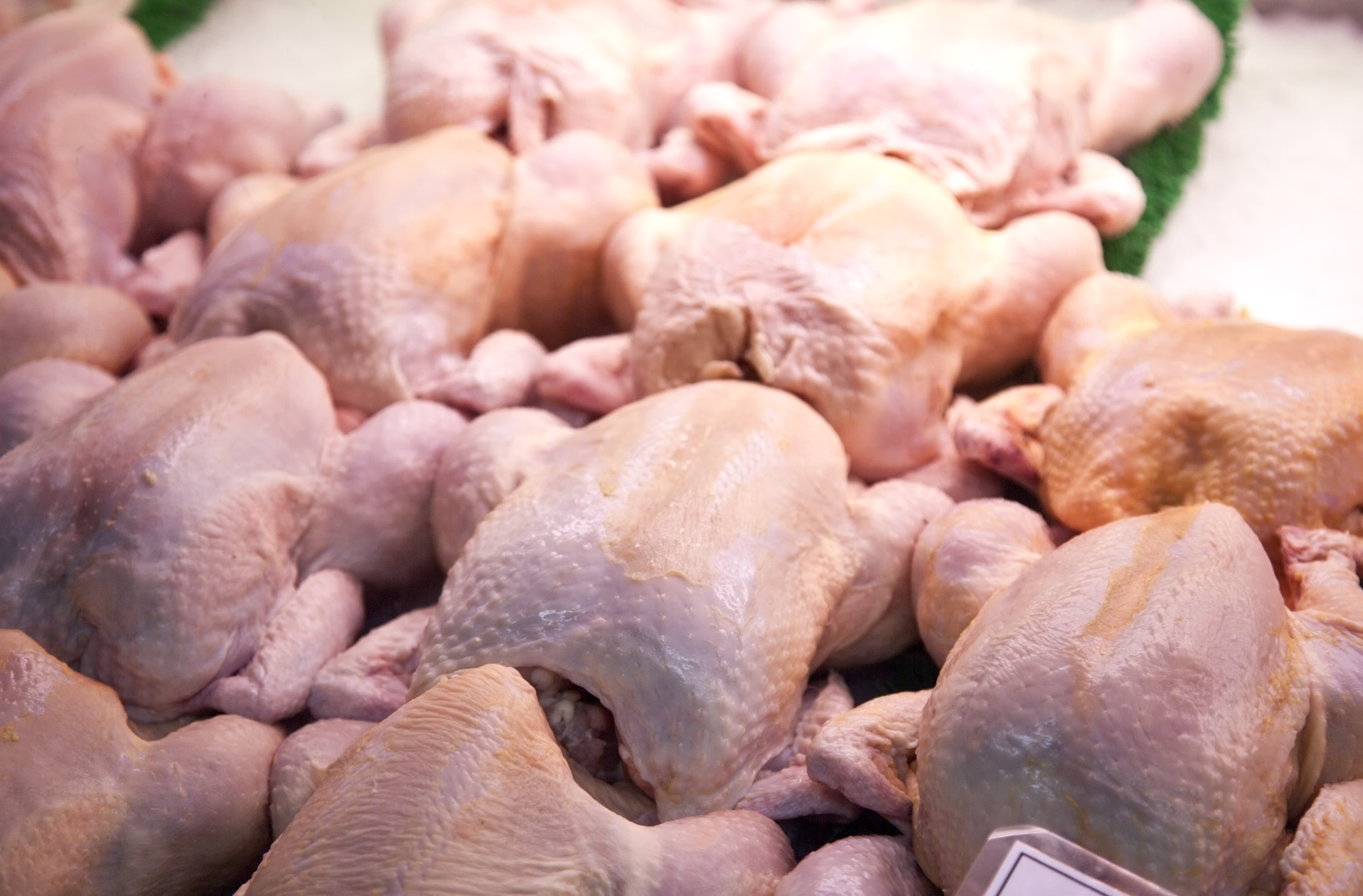 المغرب يرسخ موقعه ضمن أعلى مستويات الاستهلاك الفردي للدجاج الطازج بإفريقيا