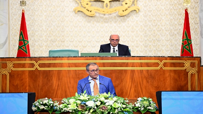 الشامي: 8 ملايين بدون تأمين صحي وارتفاع المصاريف يواجه الحماية الاجتماعية