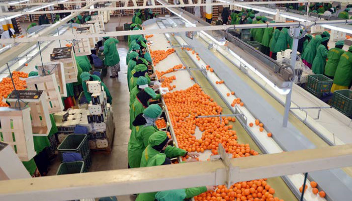 إنتاج الصناعات الغذائية يهوي بـ5.5 %