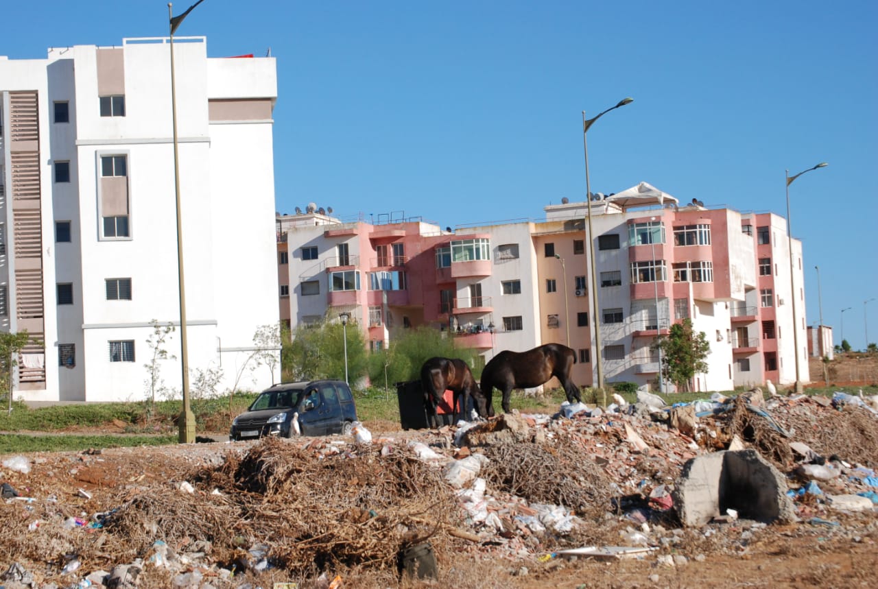 شركة إسبانية تقاضي الحكومة بسبب "تامسنا"