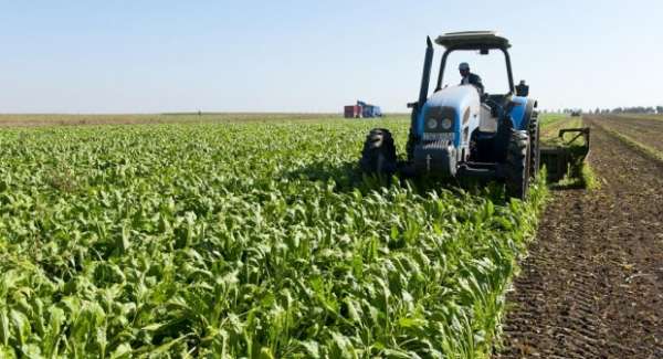 بالأرقام: هذه تداعيات التساقطات الأخيرة على الفلاحة بجهة الرباط