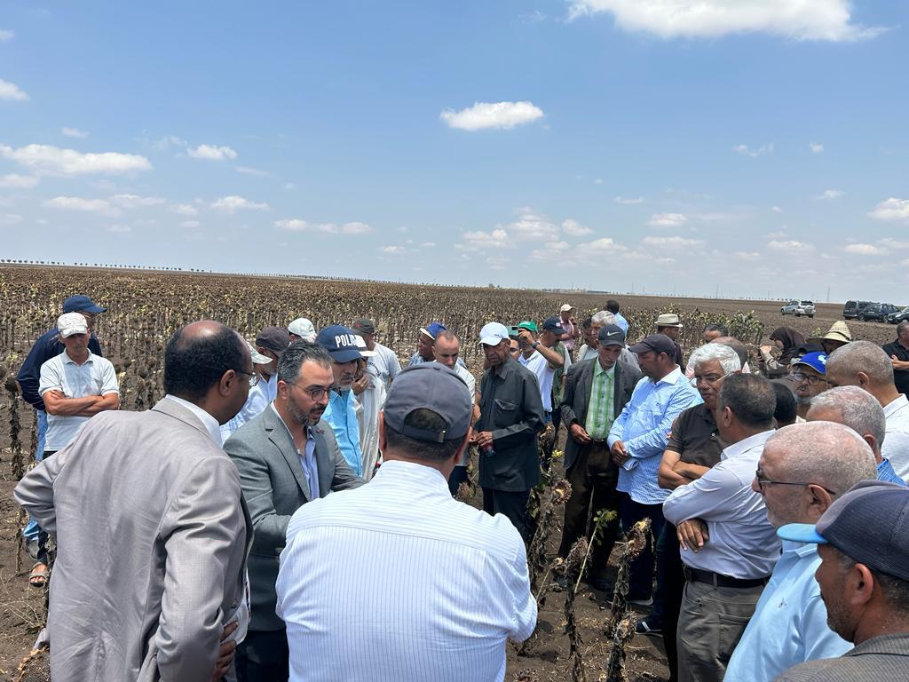 "فوليا" تستهدف تأمين 15 % من استهلاك الزيوت في المغرب بحلول 2030