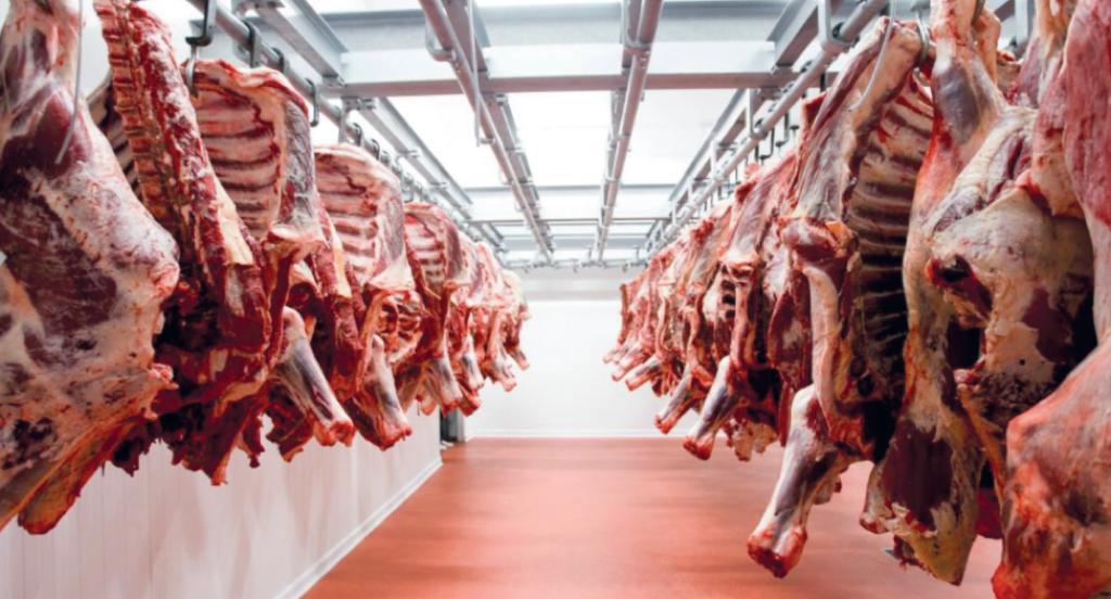 مصدر مهني لـ"اقتصادكم": مردودية الأبقار المستوردة ضعيفة وأسعار اللحوم مرشحة للارتفاع في رمضان