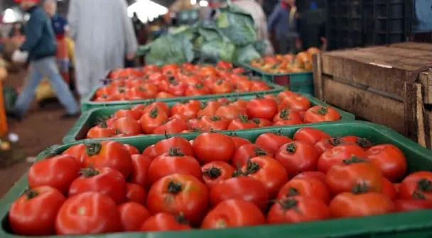المغرب ثالث أكبر مصدر للطماطم عالميا بعائدات تناهز 1.7 مليار دولار