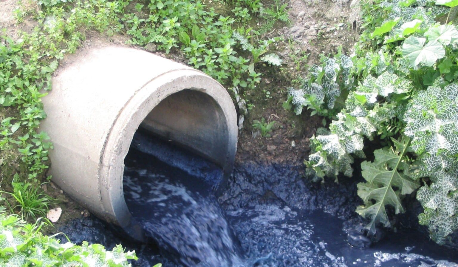 حوالي ربع المغاربة يوافقون على شرب المياه العادمة التي تمت معالجتها