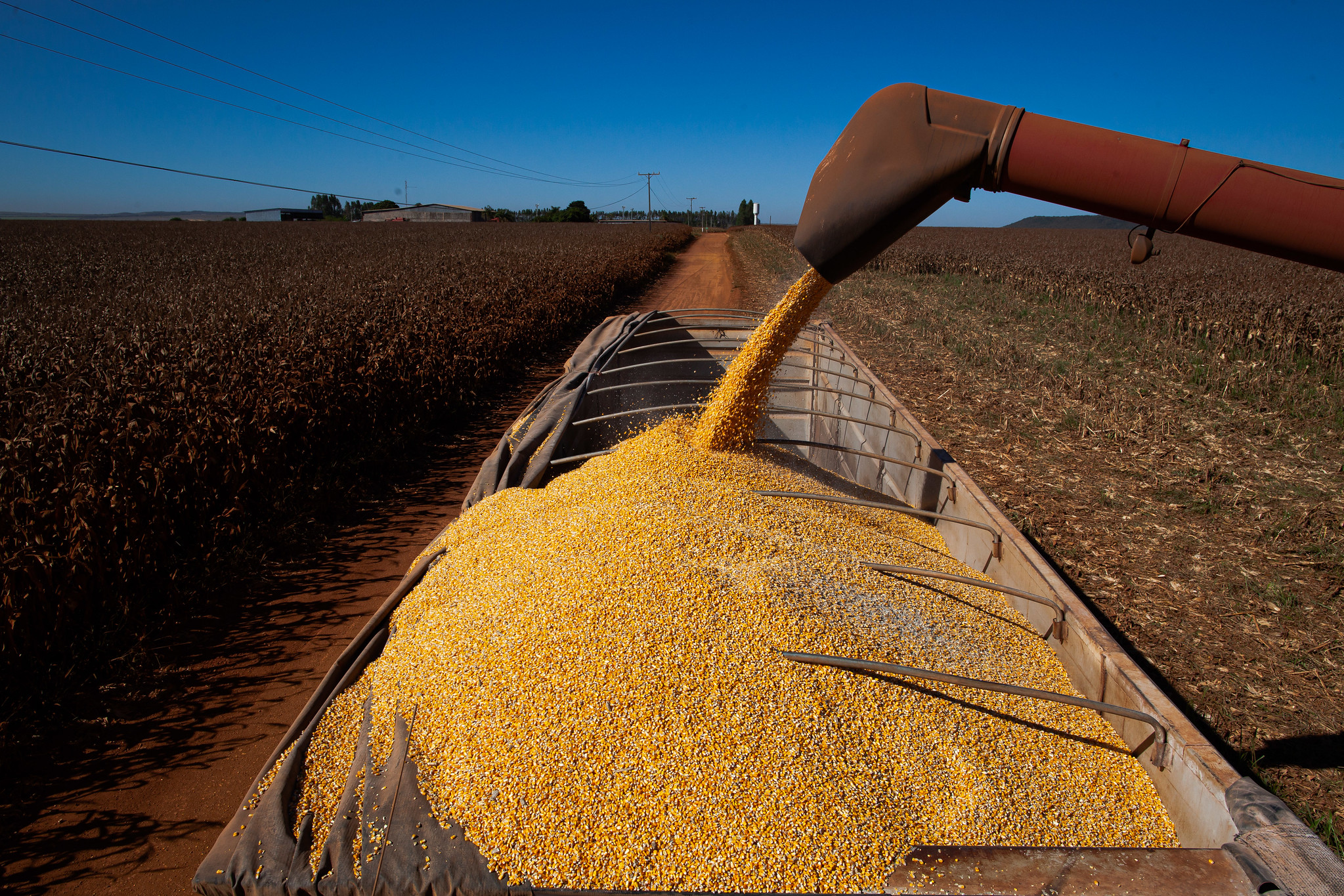 قفزة في الصادرات الزراعية البرازيلية مطلع السنة.. والمملكة ضمن أبرز الأسواق نموا