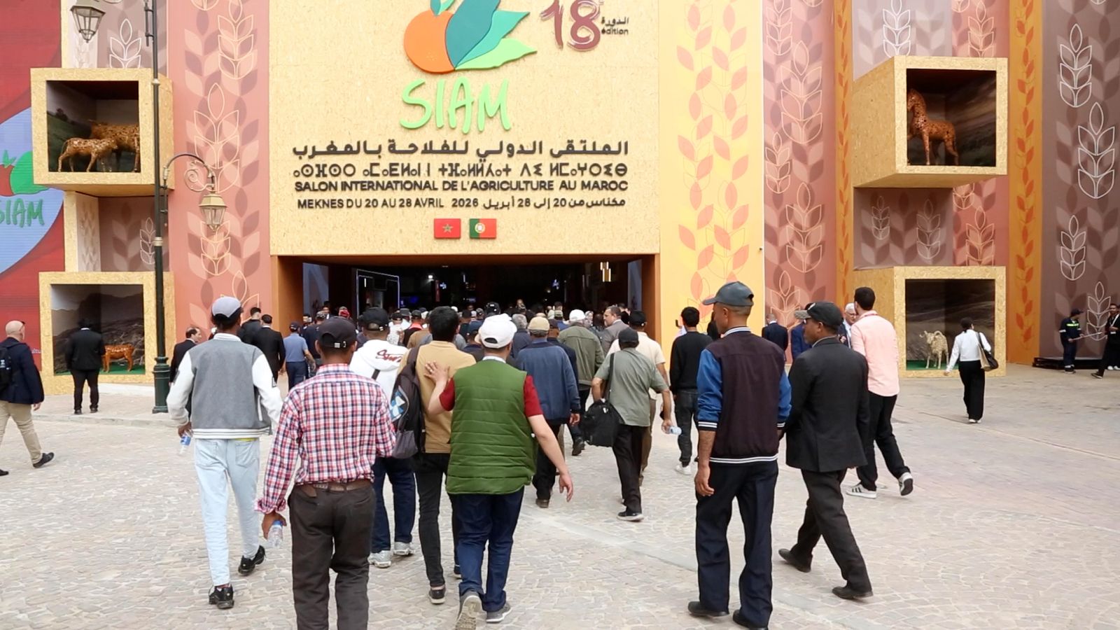 الملتقى الدولي للفلاحة  يسلط الضوء على دور الوراثة الحيوانية في تحقيق السيادة الغذائية