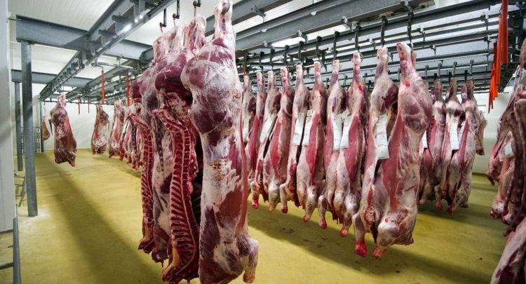 وضعية المجازر العمومية  تجر صديقي إلى البرلمان