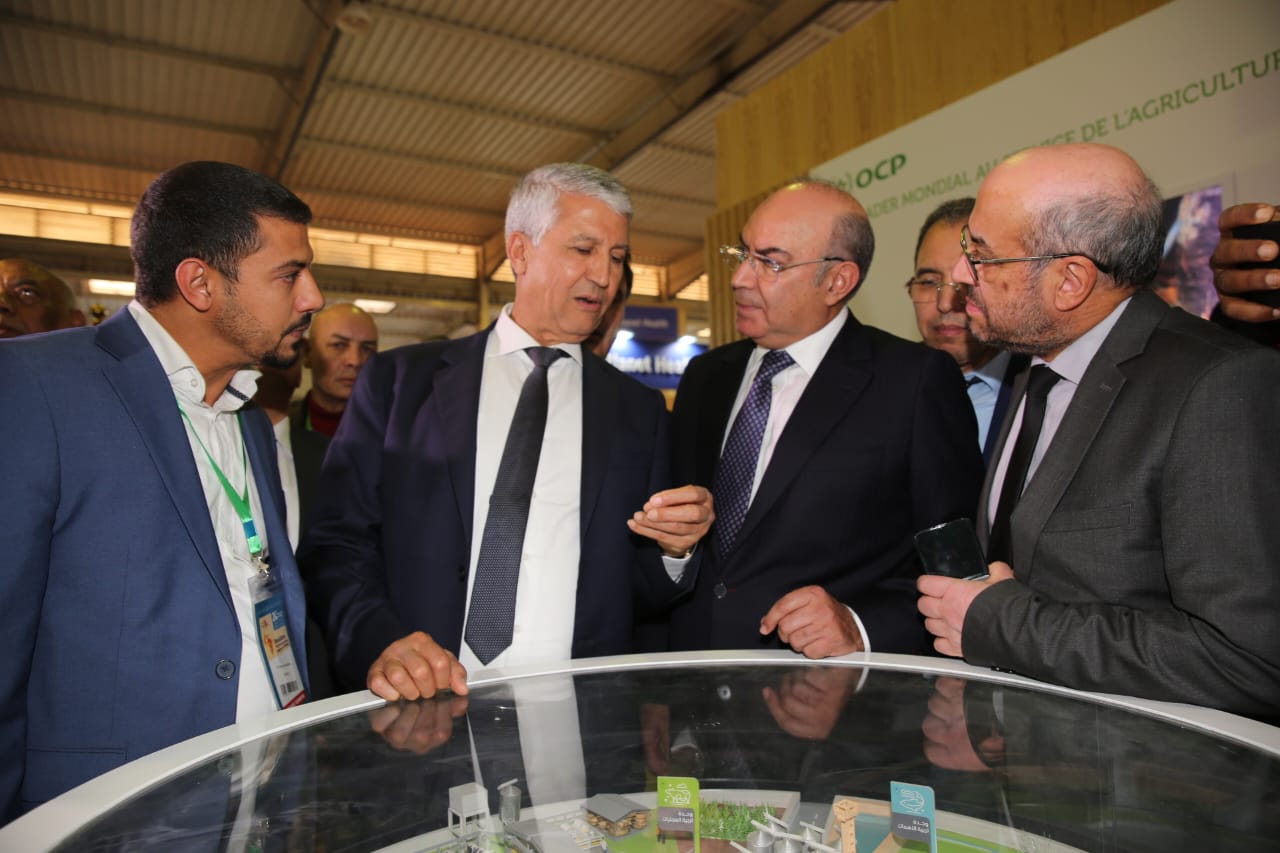 صديقي: العقد-برنامج الجديد يهدف إلى الرفع من مستوى إنتاج اللحوم البيضاء