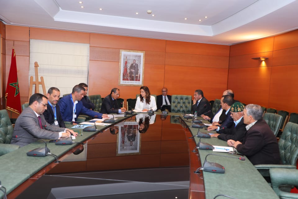 المنجميين التقليديين يطلبون تدخل بنعلي