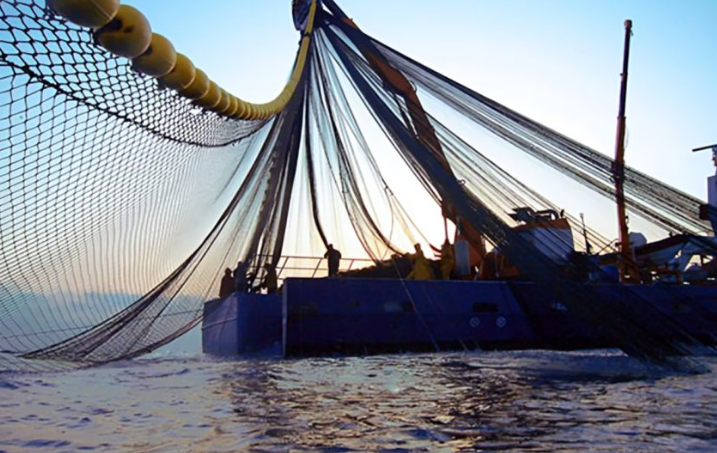 انخفاض قوي في مفرغات الصيد الساحلي والتقليدي بالناظور