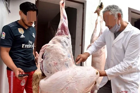 اخضرار الأضاحي.. "أونسا" فحصت 4640 سقيطة خلال العيد