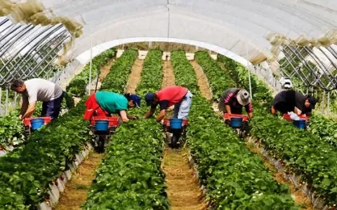 انطلاق منتدى أفريقيا للفلاحة بأكادير