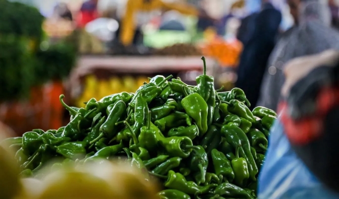 المغرب يحقق رقما قياسيا في صادرات الفلفل إلى إسبانيا