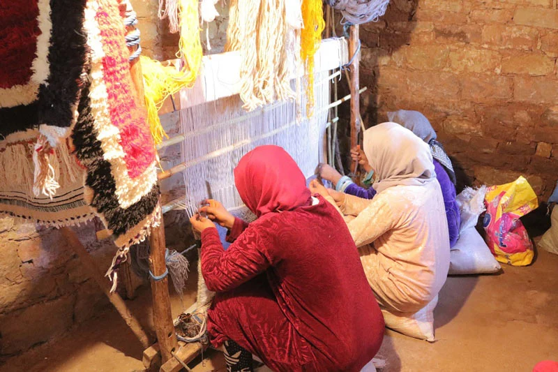 النساء يمثلن ثلث أعضاء التعاونيات بالمغرب.. التفاصيل