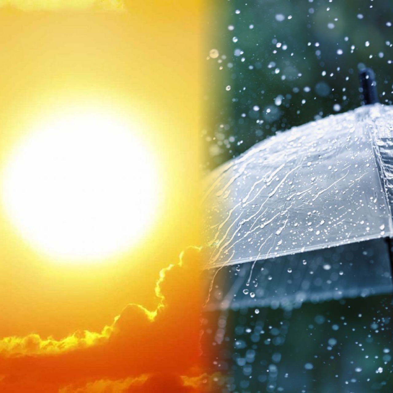 الأرصاد تحذر من موجة حرارة وأمطار رعدية بهذه المناطق